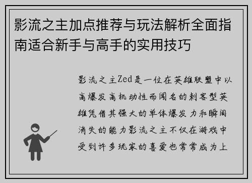 影流之主加点推荐与玩法解析全面指南适合新手与高手的实用技巧